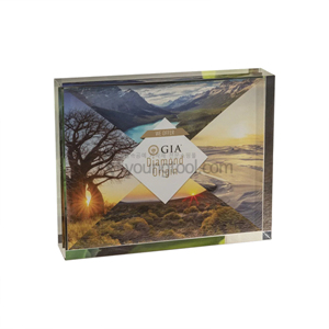 GIA 다이아몬드 오리진 아크릴 디스플레이 (GIA Diamond Origin Acrylic Display)